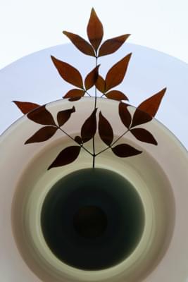 Transparences éphémères - Nandina 3.jpg